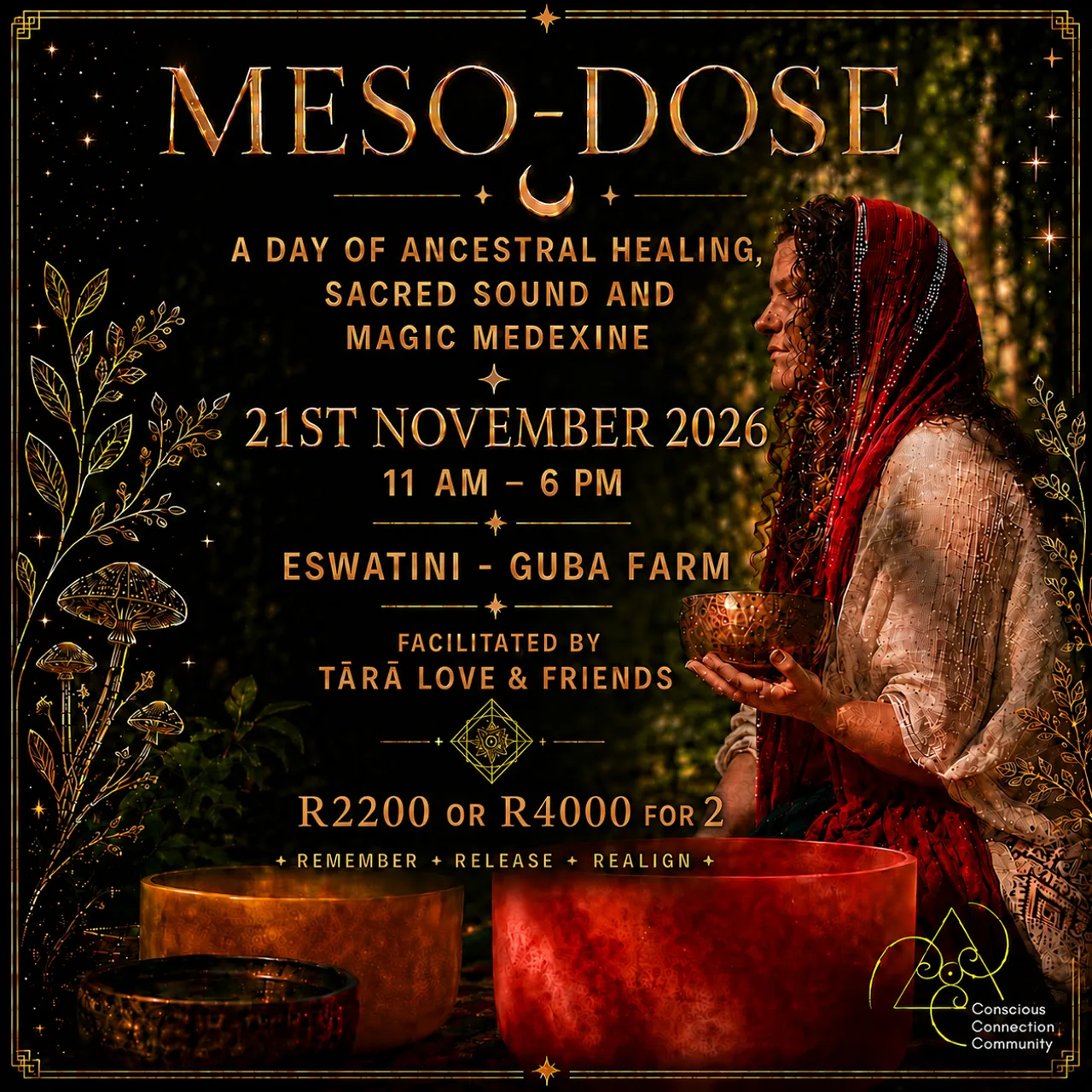Meso Dose - 21112026