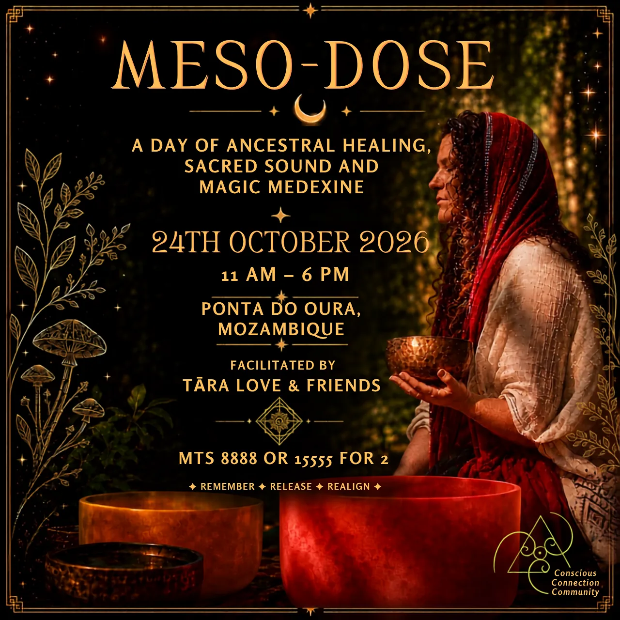 Meso Dose - 24102026